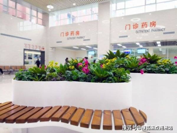 医院（门矿养老照料中心）医疗资源+康复护理服务麻将胡了2试玩